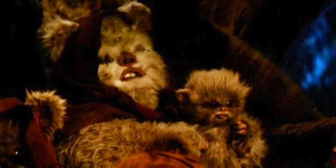 Star Wars 15 Things You Didnt Know About Ewoks