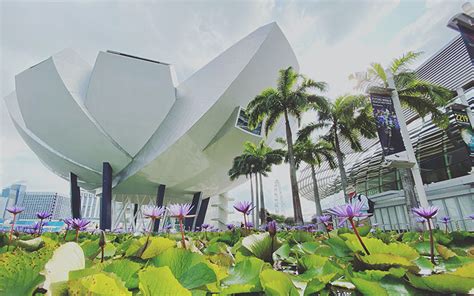 Artscience Museum Tickets Explore Singapore