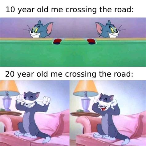 160 Funny Tom And Jerry Memes To Keep You Laughing Fandomspot Tom