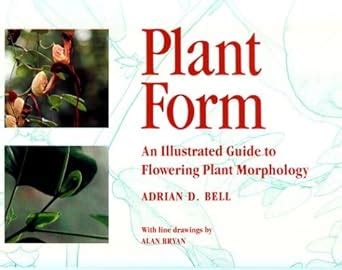 Plant Form An Illustrated Guide To Flowering Plant Morphology Bell Adrian D