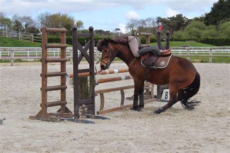 Pourquoi Faire Les Meilleures Chutes De Cheval Possible Contre Galop