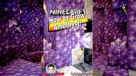 How To Grow Amethyst Crystals Cluster Shard In Minecraft Youtube