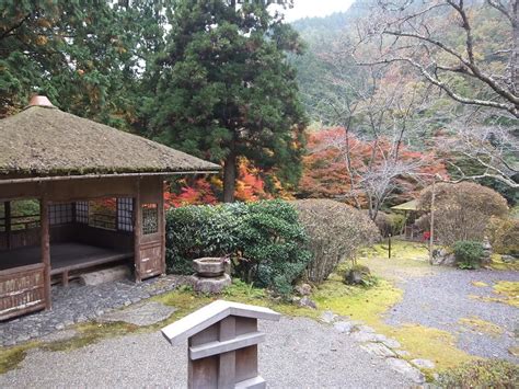 2013年3月8日のブログ記事一覧 Amadeusの「京都のおすすめ」 ブログ版（観光）