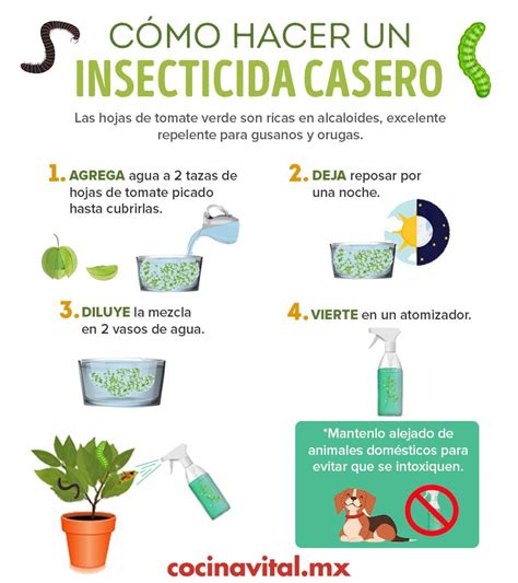 Introducir 30 Imagen Recetas De Insecticidas Caseros Para Plantas