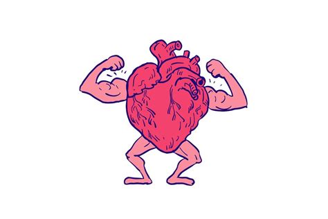 Healthy Heart Flexing Muscle Drawing Creative Daddy