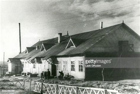 Soviet Forced Labor Camp Photos And Premium High Res Pictures Getty