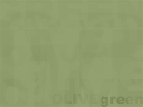 🔥 47 Olive Green Wallpaper Wallpapersafari