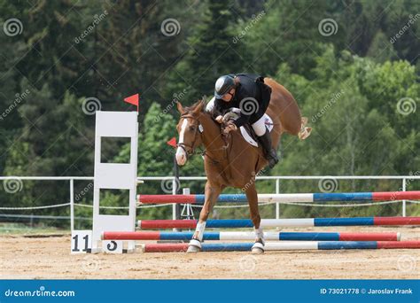 Reiterin Fällt Von Einem Braunen Pferd Redaktionelles Stockfoto Bild Von Mitfahrer Reiter