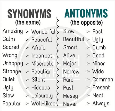 Synonym And Antonym Wide - RETSULI