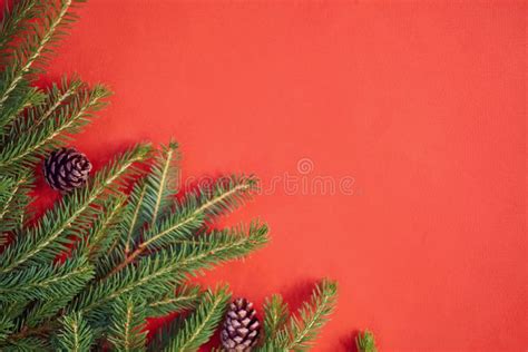 Christmas Background With Xmas Tree On Red Canvas Background Merry