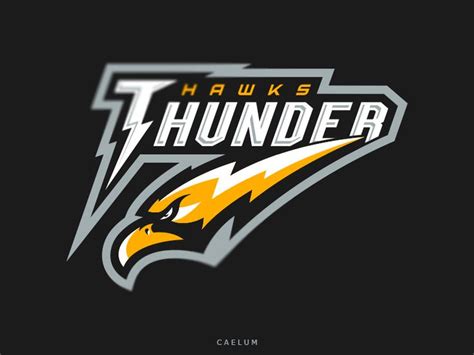 Thunder Hawks Team Logo Design Lightning Logo Game Logo Design