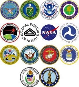 The cabinet of the united states is a body consisting of the vice president of the united states and the heads of the executive branch's fed. Top 10 Places to Look for an Exciting and Promising ...
