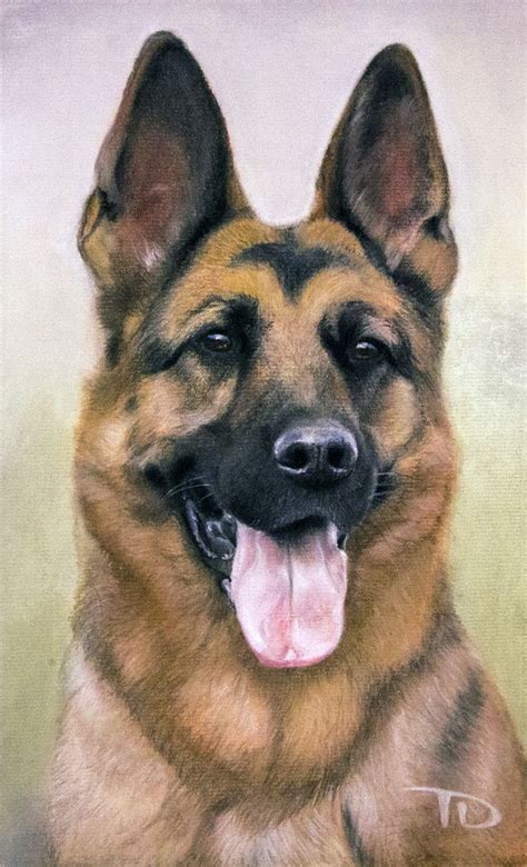 Pastel By Tetiana Diedova Dog Drawing Dog Paintings Dog Portraits