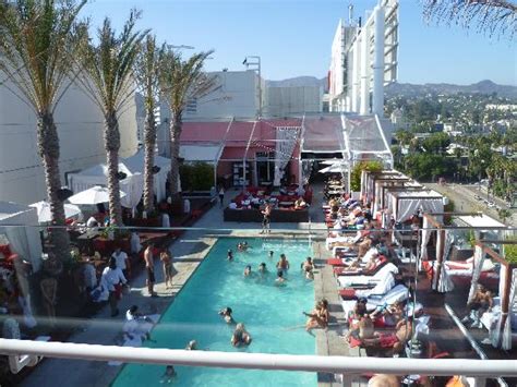 Rooftop Pool Picture Of W Hollywood Los Angeles Tripadvisor