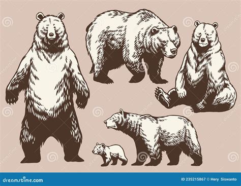 Set Of Hand Drawn Bear Collection In Vintage Style Stock Vector