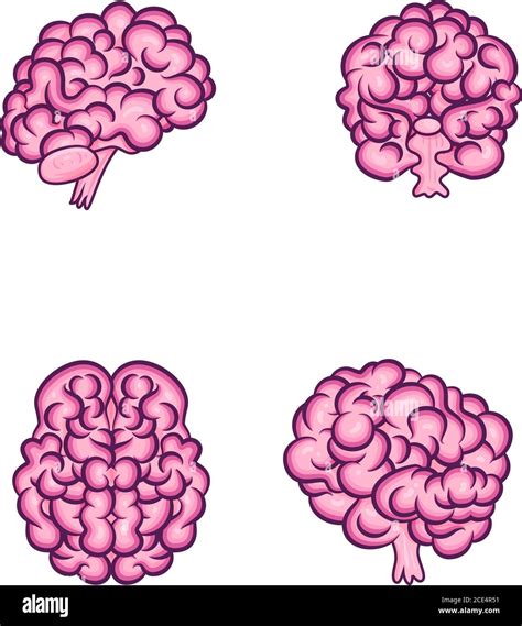 Human Brain Illustration Vector Stock Vector Image And Art Alamy