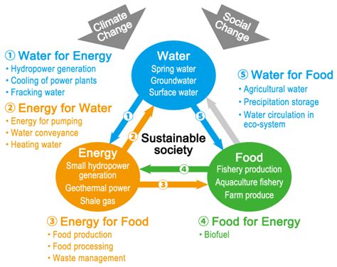 Water Energy Food Nexus