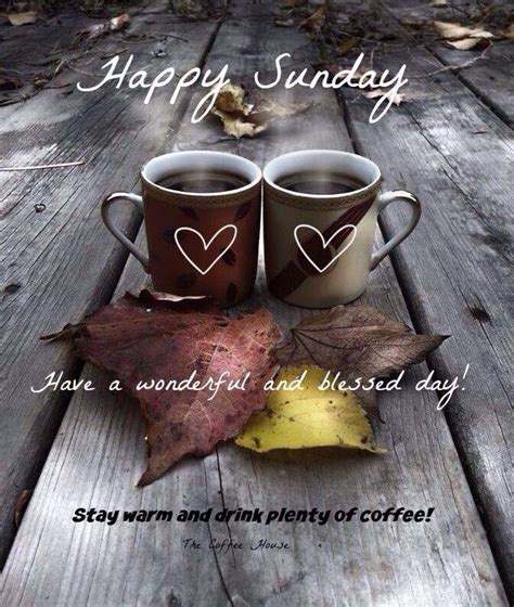 Good morning funny good morning coffee good morning good night good morning wishes morning memes morning greetings quotes lovethispic offers happy sunday, good morning dear friend pictures, photos & images, to be used on facebook, tumblr, pinterest, twitter and other. Happy Sunday. ️ … | Sunday morning quotes, Sunday morning ...