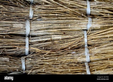 Broom Grass Texture Hi Res Stock Photography And Images Alamy