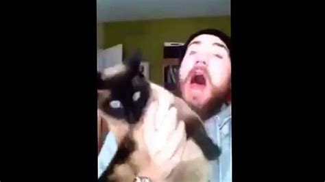 Guy Yelling At Cats Youtube