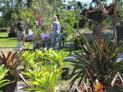 Gardenfest To Spotlight Key West Tropical Forest And Botanical Garden Feb