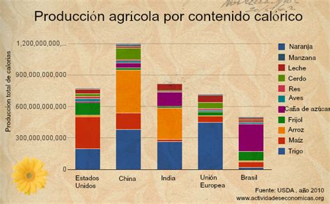 Los Mayores Productores Agrícolas Del Mundo Actividades Economicas