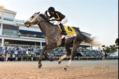 Knicks go broke from post 5 as the 9/5 favorite under joel rosario and went straight to the lead this was never something that we even had on our target when we ran this horse a month ago or. Knicks Go wins Pegasus, Caddo River joins Kentucky Derby ...