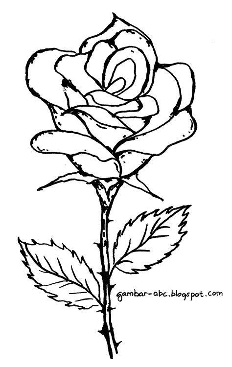 Pelajari cara menanam dan merawat sendiri bunga krisan. Sketsa Mewarnai Bunga Mawar untuk Anak - Dunia Putra Putri