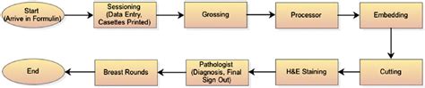 Process Map Of Anatomic Pathology The Main Steps Of Anatomic Pathology