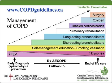 2008 Copd Guidelines And Information British Columbia Respiratory Therapy