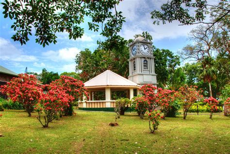 Thurston Gardens Suva Fiji Top Attractions Things To Do