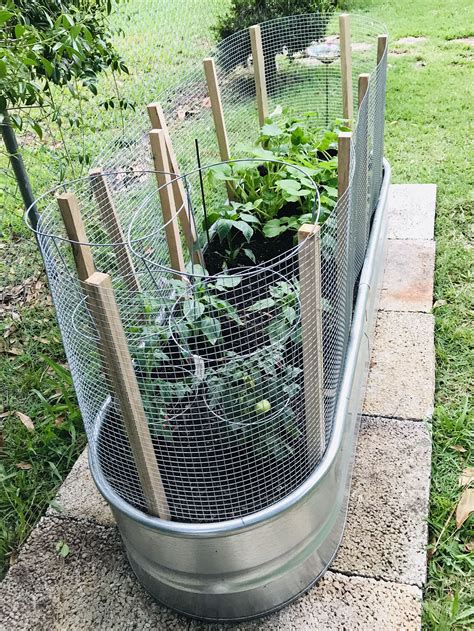 Galvanized Tub Garden Raised Container Garden Vegetable Garden