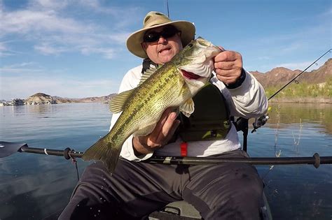 For more info, contact the bureau of land management or arizona game and fish. Best Places To Fish At Lake Mead - Unique Fish Photo