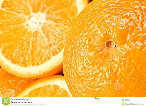 Oranges Close Up Stock Image Image Of Ripe Oranges Fresh 8588841