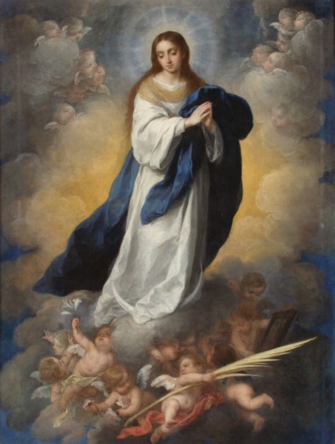Immaculate Conception Why Was Mary Free From Sin The