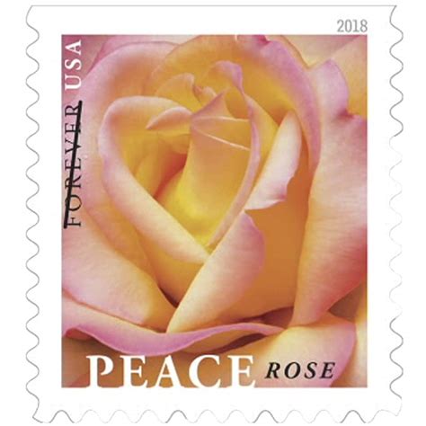 Peace Rose Usps Postal First Class Forever Us Postage Stamps Etsy