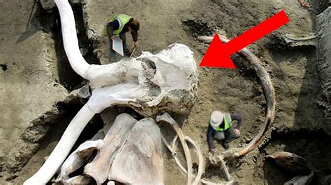 8 Most Incredible Recent Archaeological Discoveries Youtube