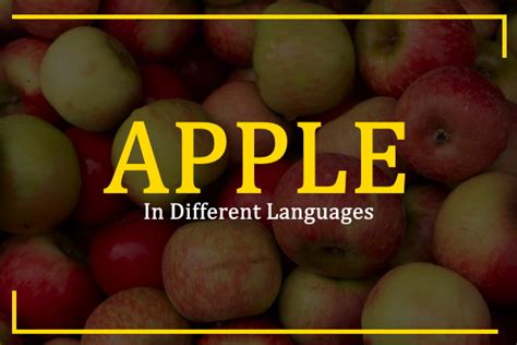 How to Say Apple in Different Languages | The Different ...