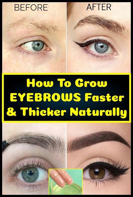 How To Grow Eyebrows Faster And Thicker Naturally Wellness Fun
