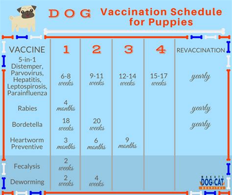 Pet Vaccination Schedule When Is The Recommended Vaccinations Given