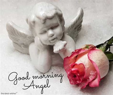120 Best Good Morning Angel Images Good Morning Angel Morning