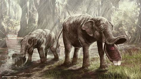 A Magical Journey This Prehistoric Elephant Had A Huge Spork For A Mouth