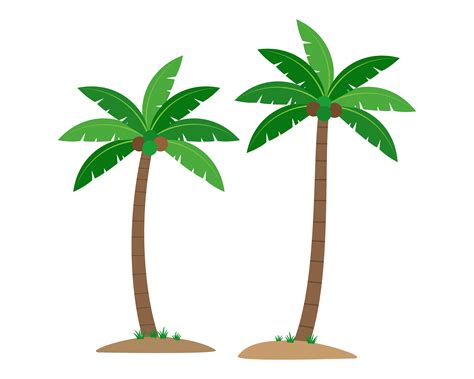 Coconut Palm Trees Isolated On White Background Vector Illustration