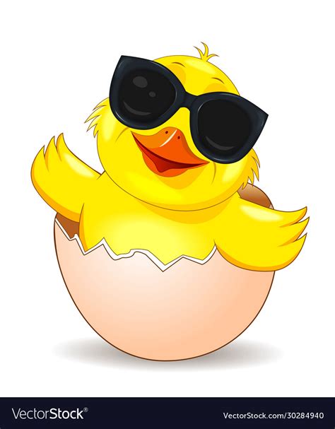 Little Joyful Chick In Sunglasses Royalty Free Vector Image