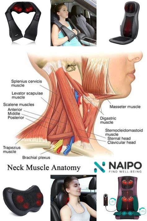 How To Keep Your Neck Healthy Top Working Tips Massage Tips Neck