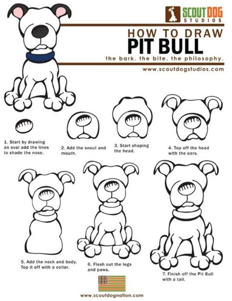 How To Draw A Pitbull Face For Kids Loza Saise1949