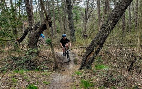 A Beginners Guide To Mountain Biking In South Jersey