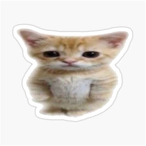 El Gato Standing Cat Meme Sticker For Sale By Twizzybutt Redbubble