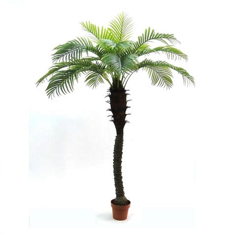 Artificial Outdoor Tropical Palm Tree By Artificial Landscapes