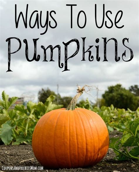Ways To Use Pumpkins Reuse Halloween Pumpkins Pumpkin Halloween